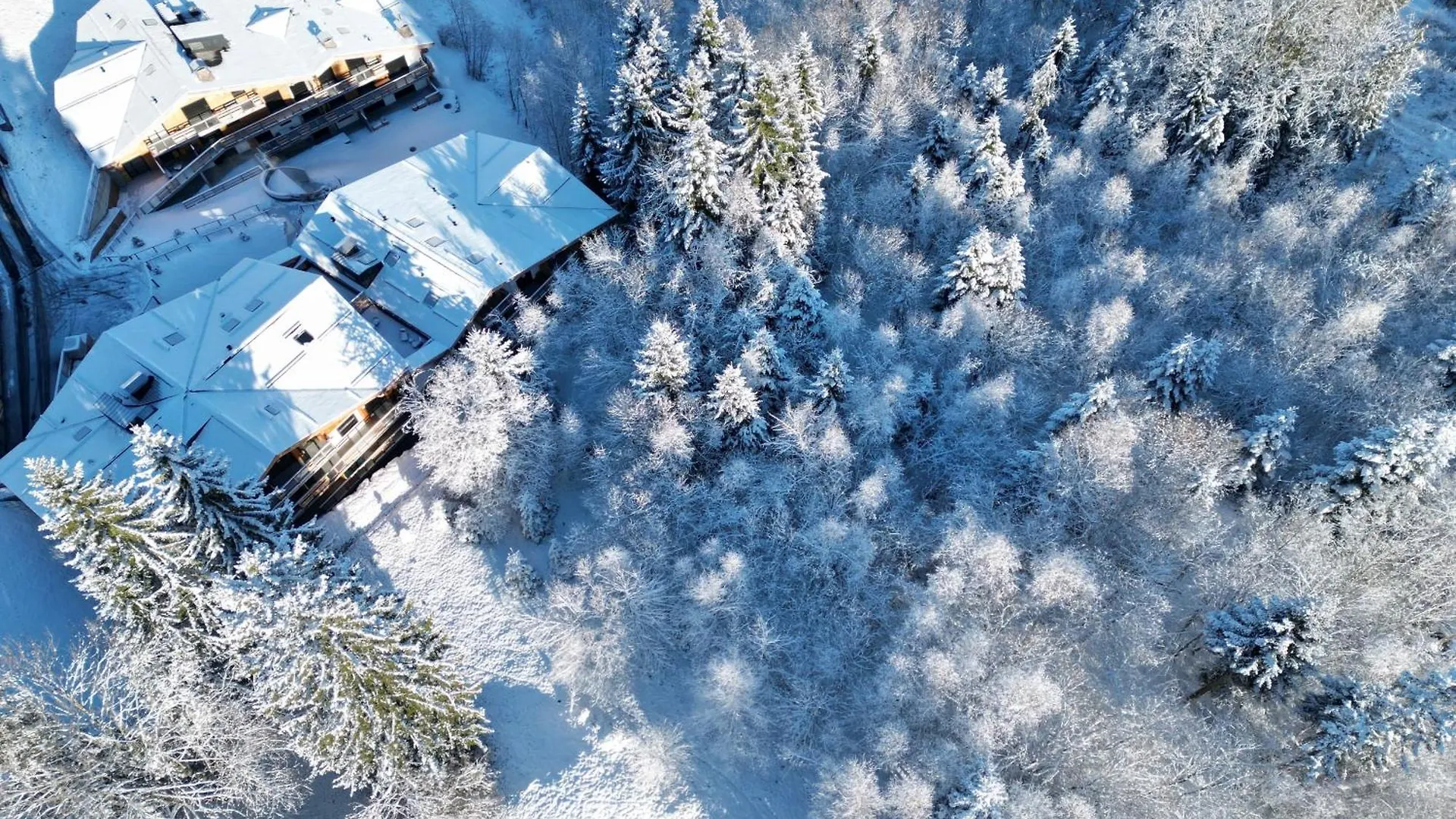 Apartment Le Lodge De L Alpage - Ski In Ski Out - 2 Chambres 1 Cabine Combloux France